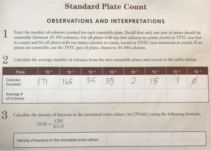 Solved Standard Plate Count OBSERVATIONS AND INTERPRETATIONS
