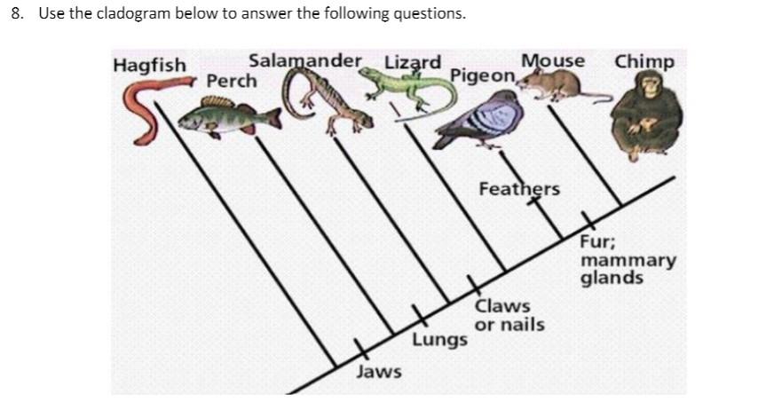 Solved a) Which organism (s) have fur and mammary glands? b) | Chegg.com