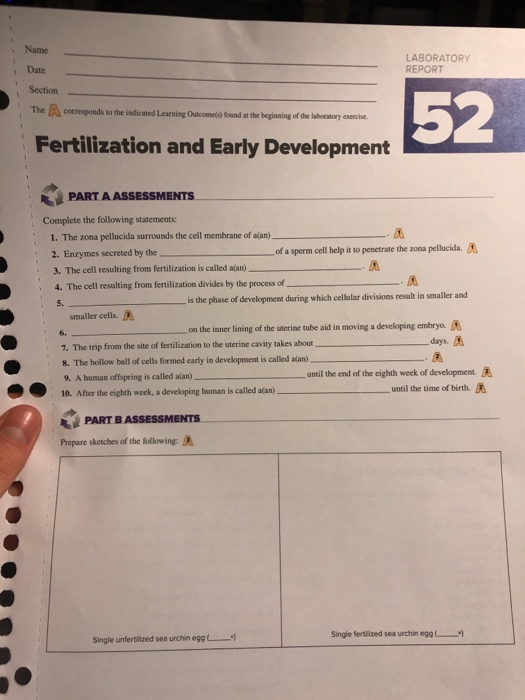 Solved Name LABORATORY REPORT Date Section 52 The A | Chegg.com