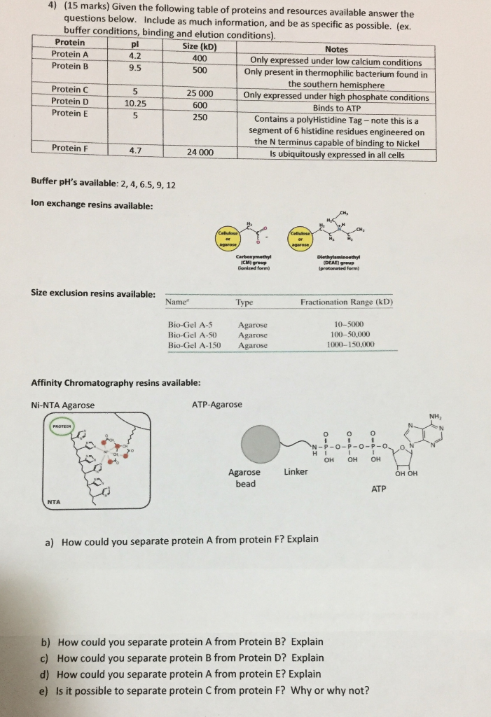 Solved 4) (15 marks) Given the following table of proteins | Chegg.com