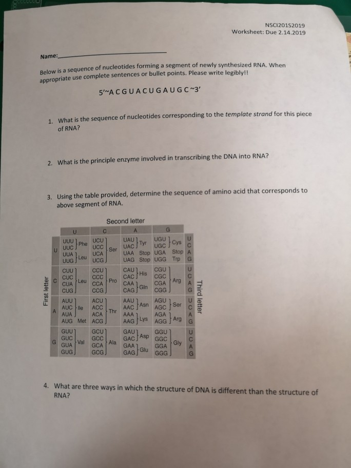 Solving The Structure Of Dna Worksheet Answers - Escolagersonalvesgui