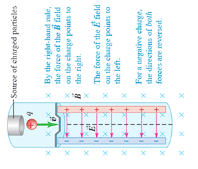 Solved In the Bainbridge mass spectrometer (Figure 1), the | Chegg.com