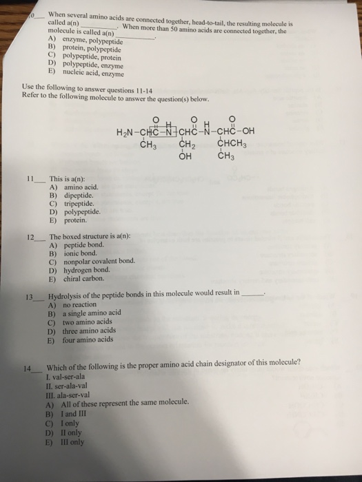 Solved o When several amino acids are connected together, | Chegg.com