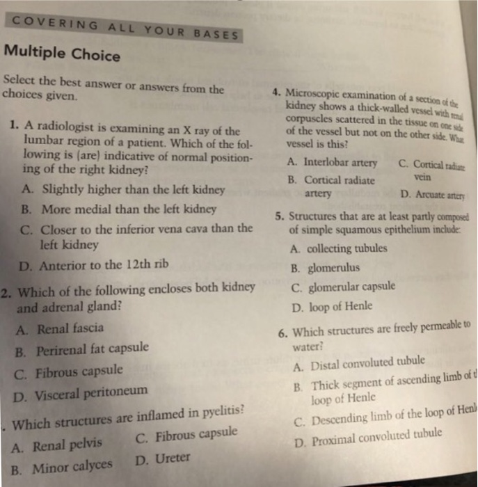 Solved COVERING ALL YOUR BASES Multiple Choice Select the