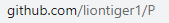 github.com/liontiger \( 1 / P \)