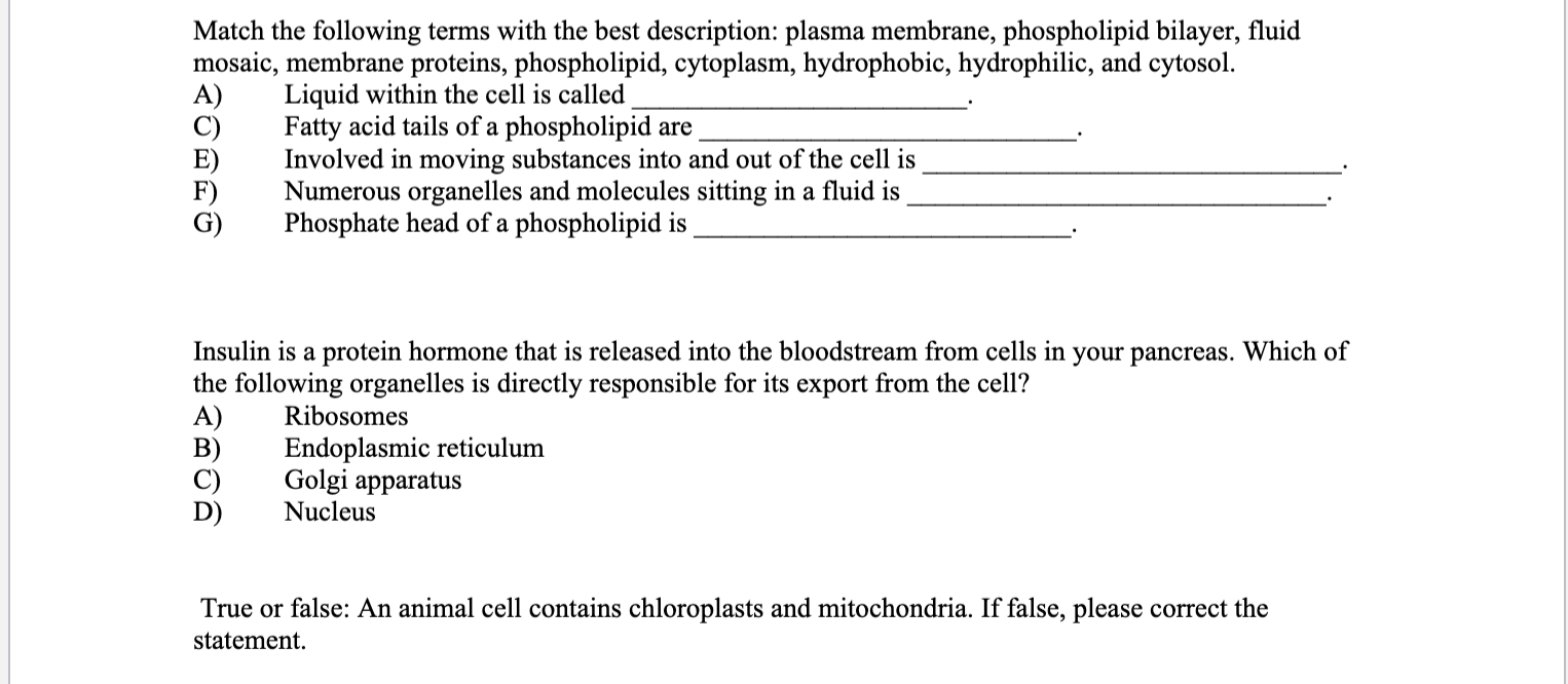 Solved Match The Following Terms With The Best Description: | Chegg.com