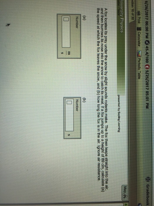 SOLVED 1 2 A FOX LOCATES ITS PREY USUALLY A MOUSE UNDER visual data 5