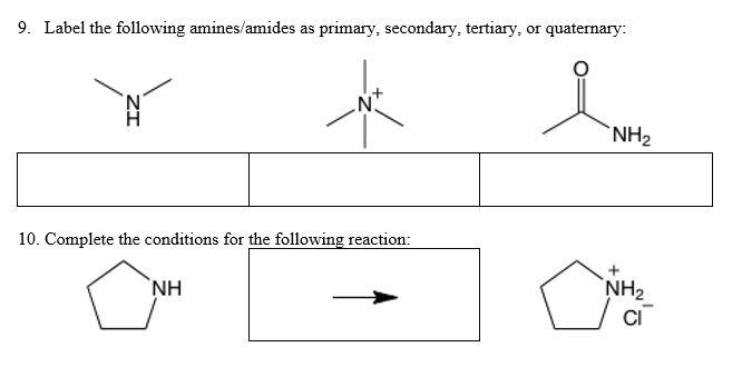 Solved 9. Label the following amines/amides as primary, | Chegg.com