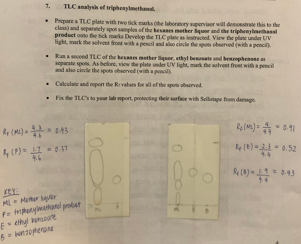 Using the TLC Rf values, what conclusions can you