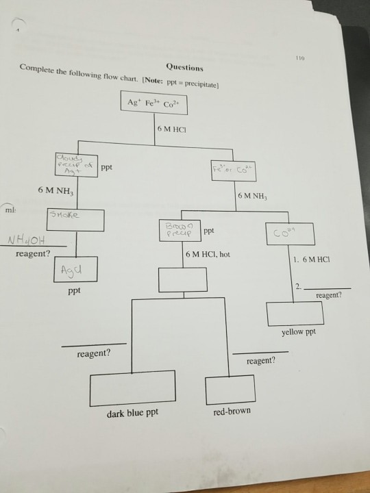 Solved he cations in question. After you have successfully | Chegg.com