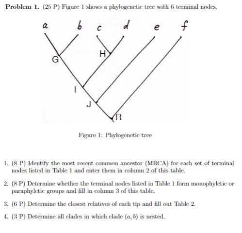 Figure 1: Phylogenetic treeIdentify the most recent | Chegg.com