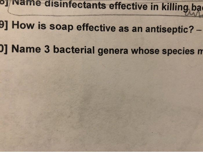 Solved e disinfectants effective in killing ba How is soap