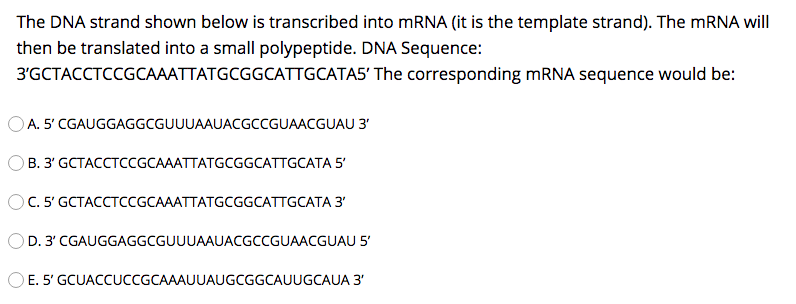 Solved The DNA strand shown below is transcribed into mRNA | Chegg.com