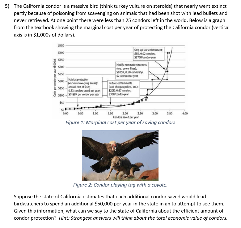 5) The California condor is a massive bird (think | Chegg.com