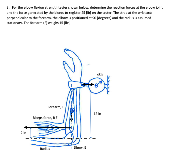 3. For the elbow flexion strength tester shown below, determine the reaction forces at the elbow joint and the force generate