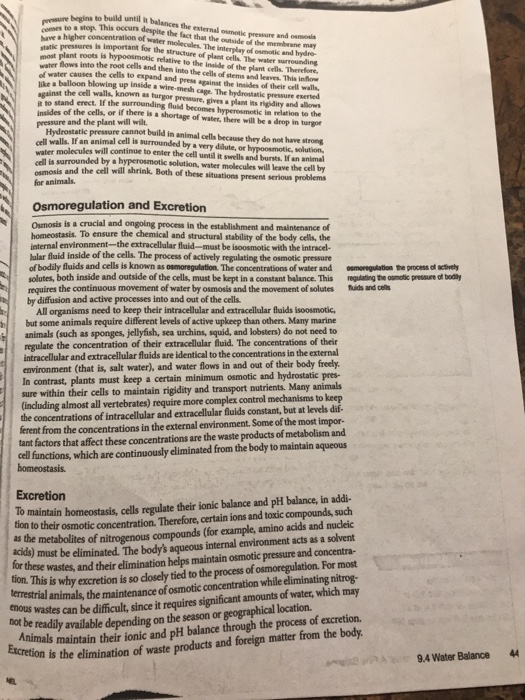 Solved: 9.4 Water Balance The Bodys Internal Environment O... | Chegg.com