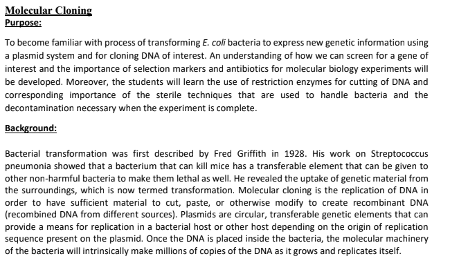 Solved Molecular Cloning Purpose: To Become Familiar With | Chegg.com