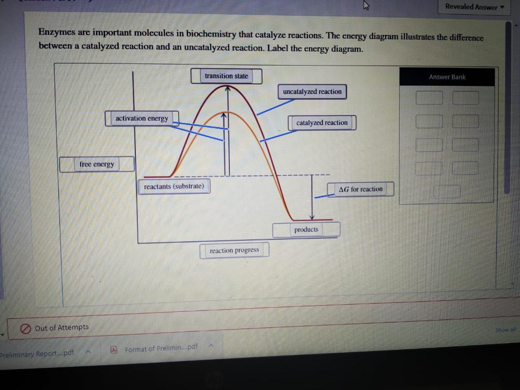 Solved Revealed Answer Enzymes are important molecules in
