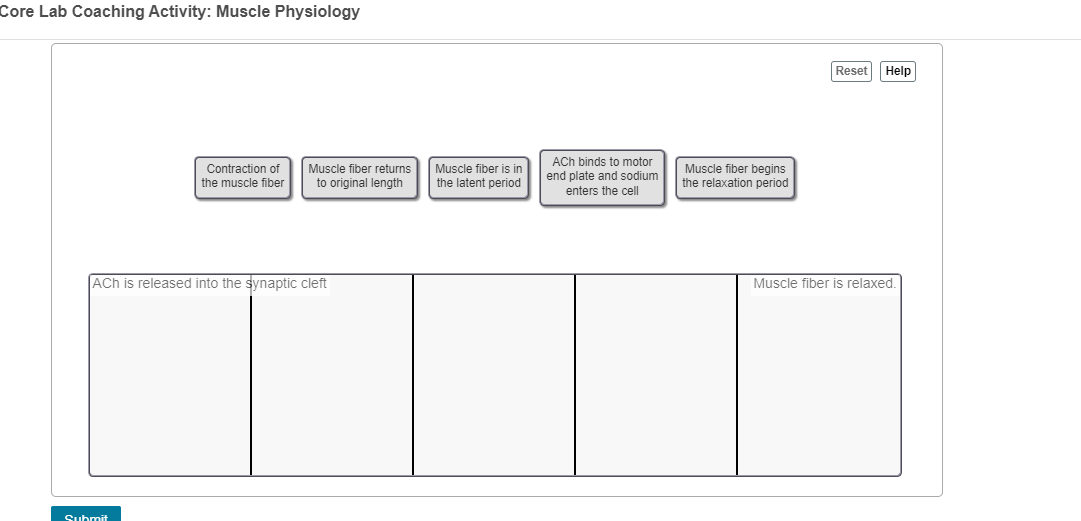 Solved Core Lab Coaching Activity Muscle Physiology