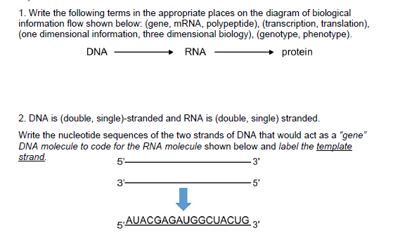 Solved 1. Write the following terms in the appropriate | Chegg.com