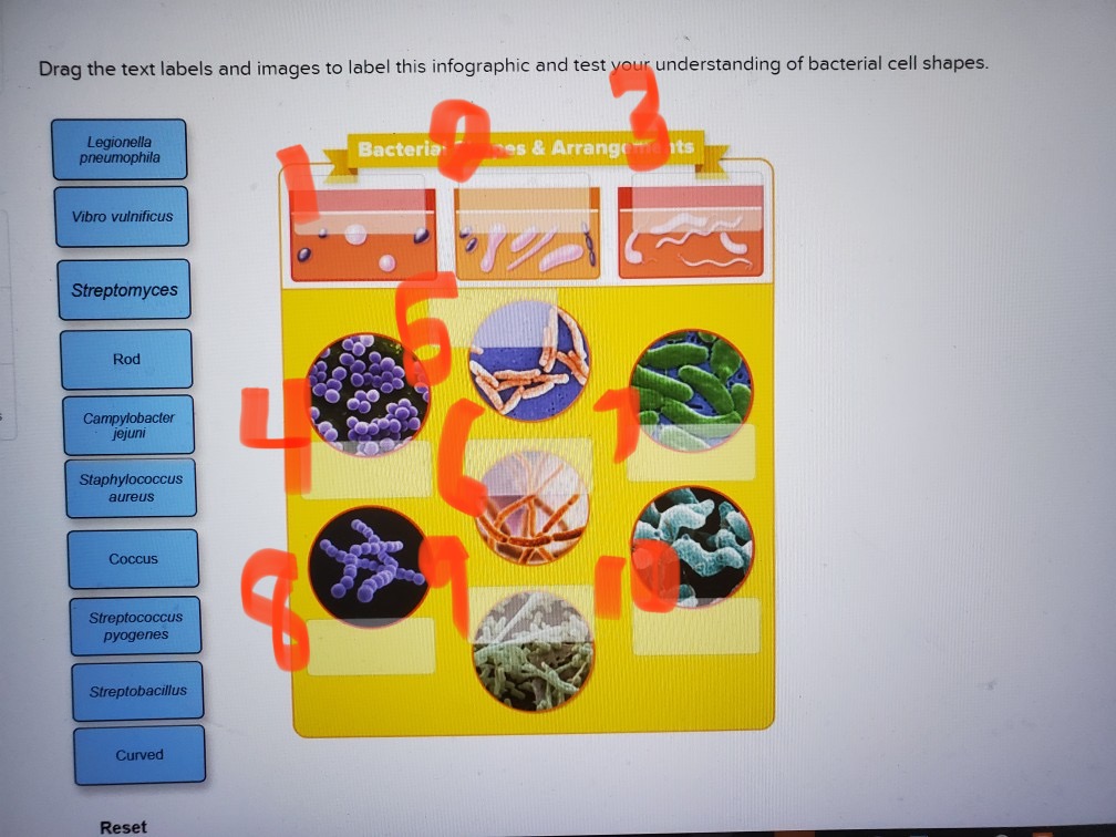 student submitted image, transcription available below