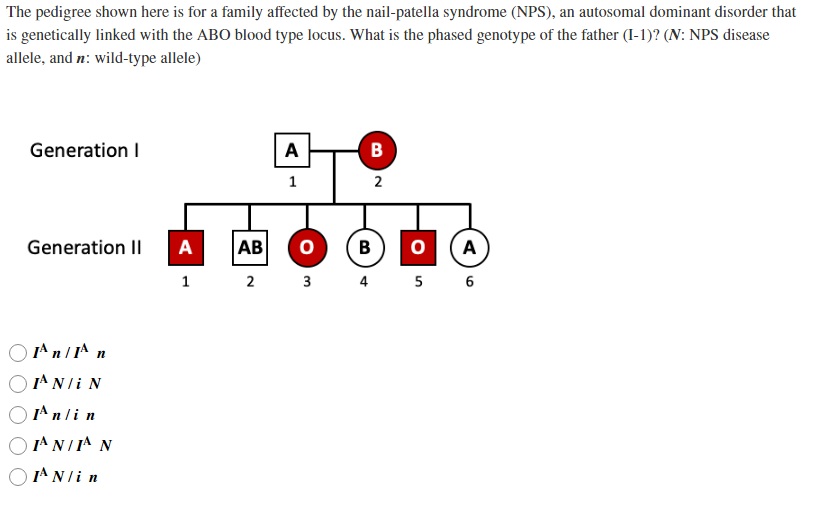 The pedigree shown here is for a family affected by the nail-patella syndrome (NPS), an autosomal dominant disorder that is g