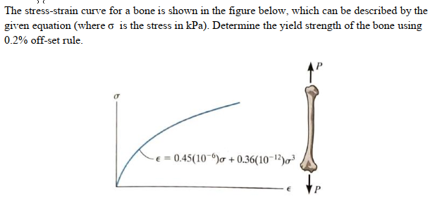 Solved The Stress Strain Curve For A Bone Is Shown In The Chegg Com