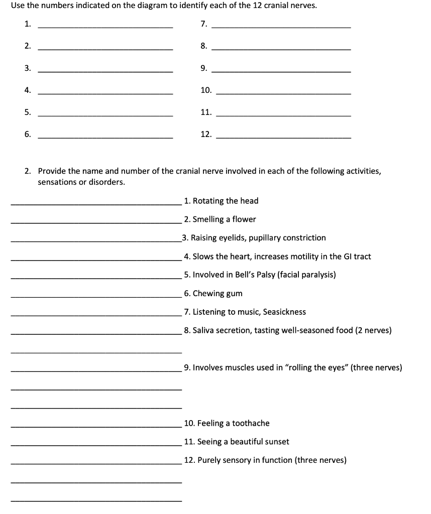 Solved Cranial Nerves 1. The 12 pairs of cranial nerves are | Chegg.com