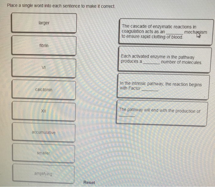 Solved Place a single word into each sentence to make it
