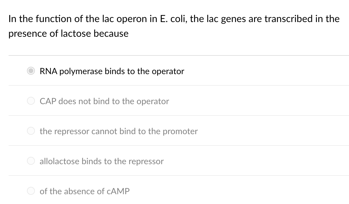 Solved In the function of the lac operon in E. coli, the lac | Chegg.com