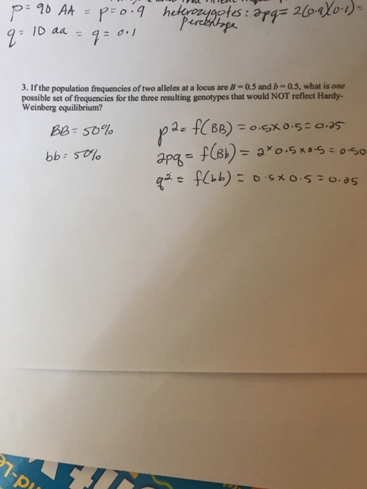 Solved I got this answer but the questions said NOT in HWE | Chegg.com