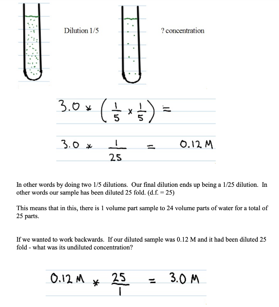 Refer to the image below of a hemocytometer for | Chegg.com