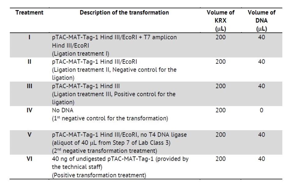 Solved Transformation. Ligation and transformation controls | Chegg.com