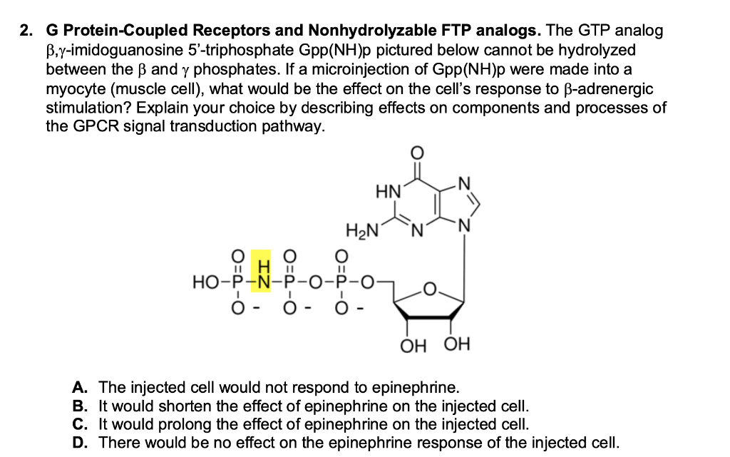 Solved 2 G Protein Coupled Receptors And Nonhydrolyzable Chegg Com