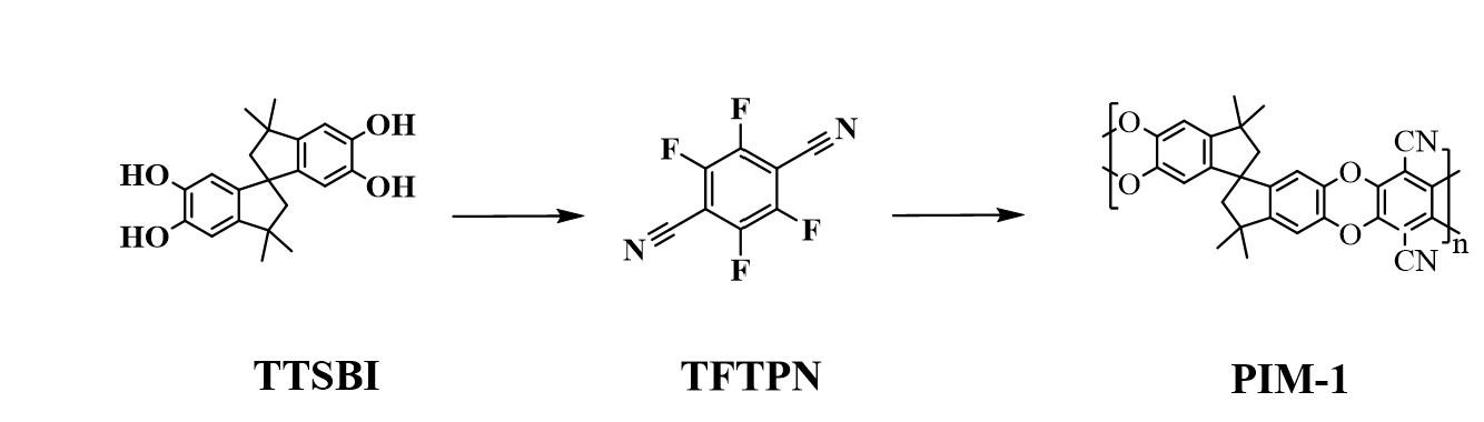 TTSBI
TFTPN
PIM-1