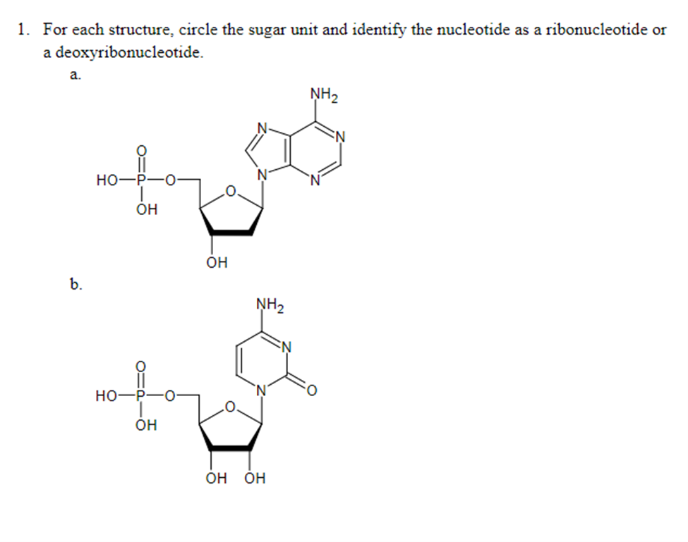 Solved 1. For each structure, circle the sugar unit and | Chegg.com