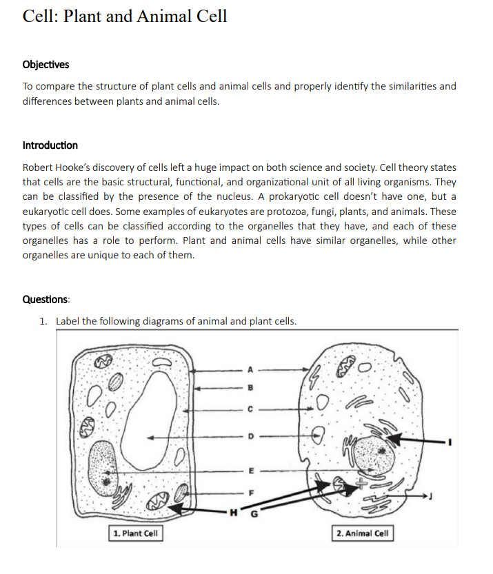 Solved 2. What structures are found in plant cells but not