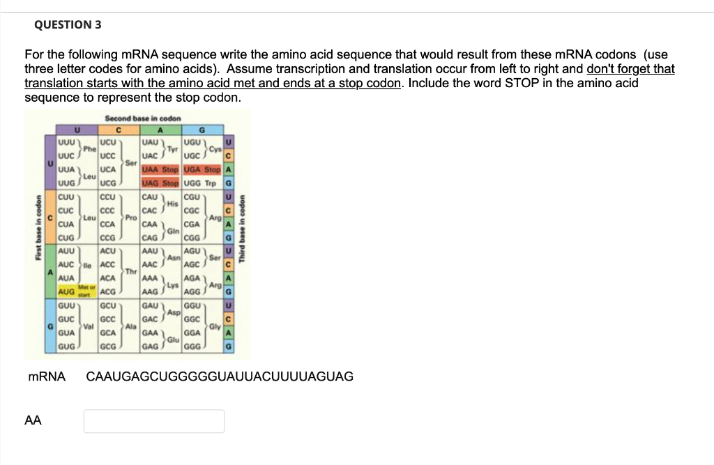 Solved QUESTION 3 For the following mRNA sequence write the | Chegg.com