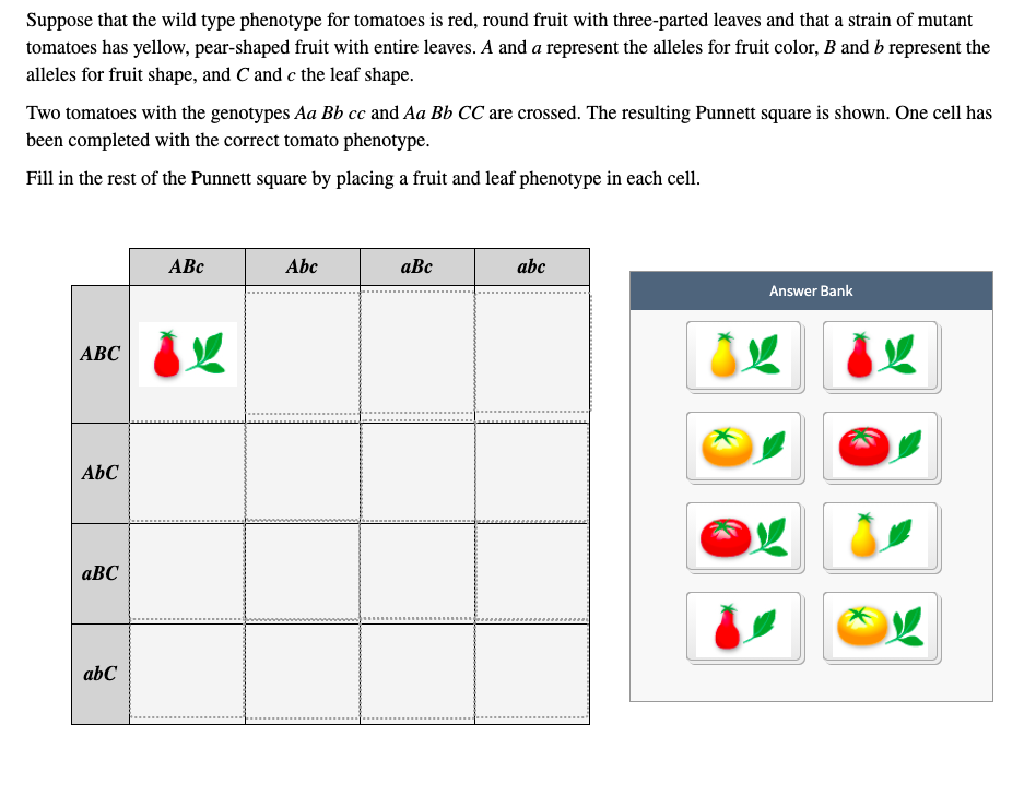 Wild Type Example Solved Suppose that the wild type phenotype for tomatoes is | Chegg.com