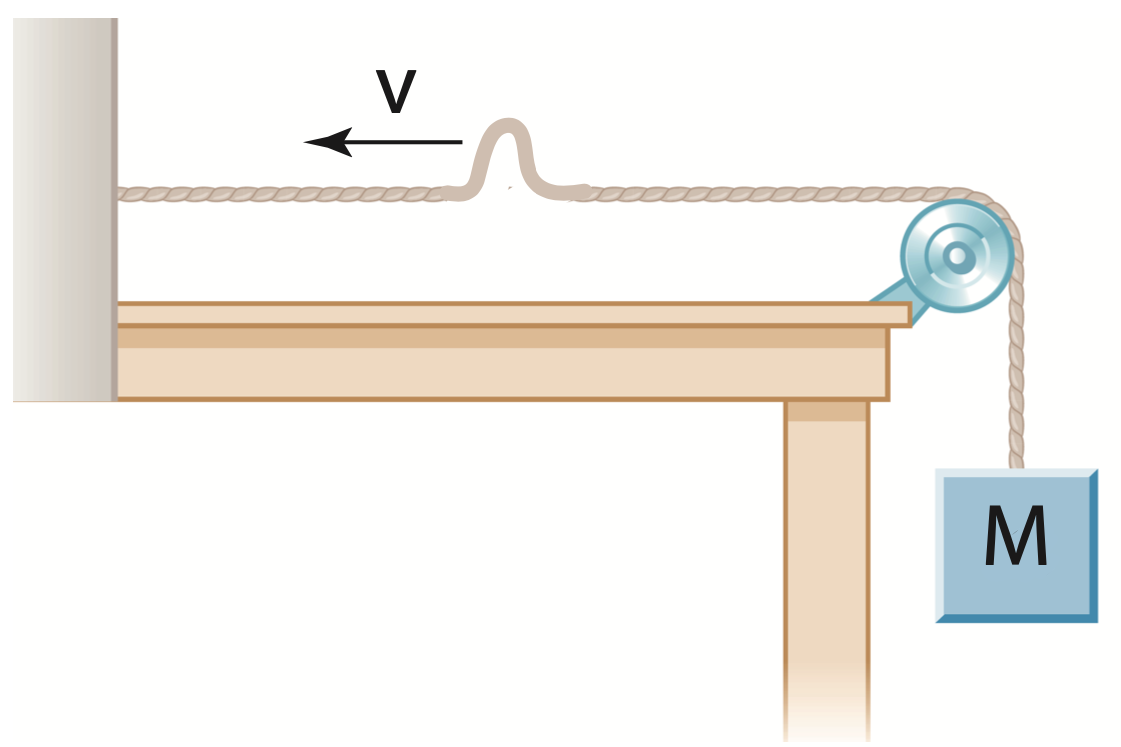 Solved A rope is kept taut by a hanging mass as shown in the | Chegg.com