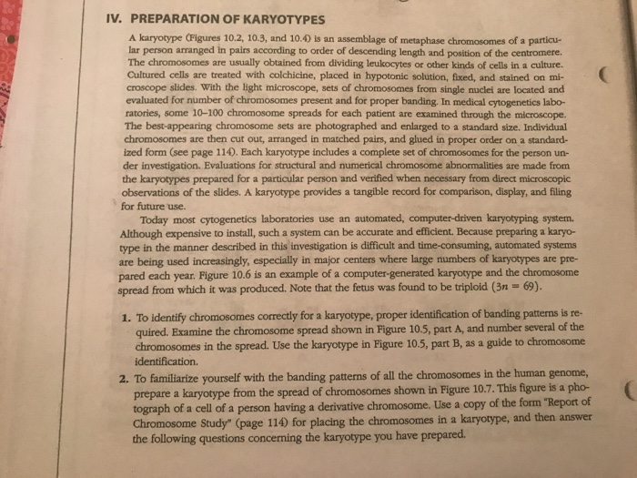 Solved IV. PREPARATION OF KARYOTYPES A karyotype (Figures | Chegg.com