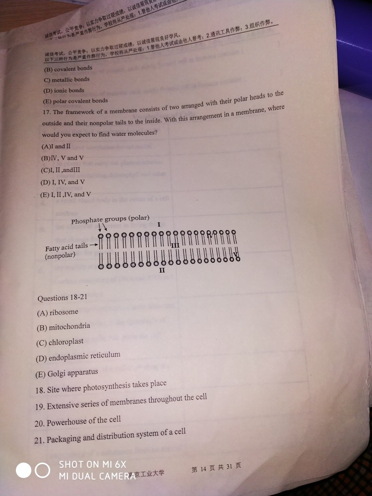 Solved Mit t gn Chapter 3 Cell Structure and Function Key | Chegg.com