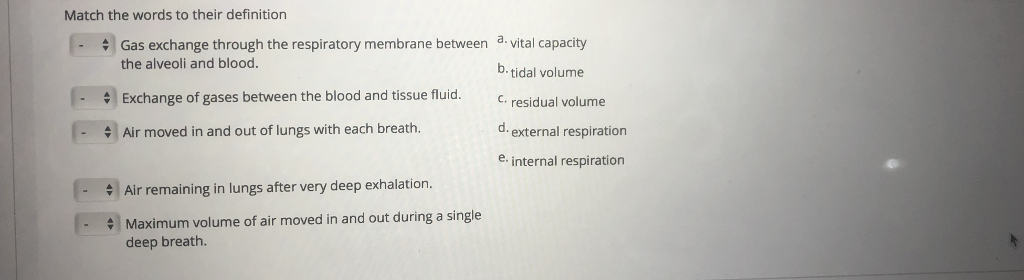 Solved Match the words to their definition # Gas exchange | Chegg.com