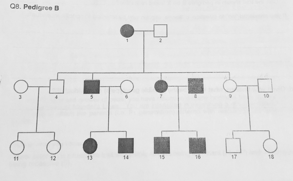 Solved Q8. Using the pedigree below: a) Can the trait shown | Chegg.com