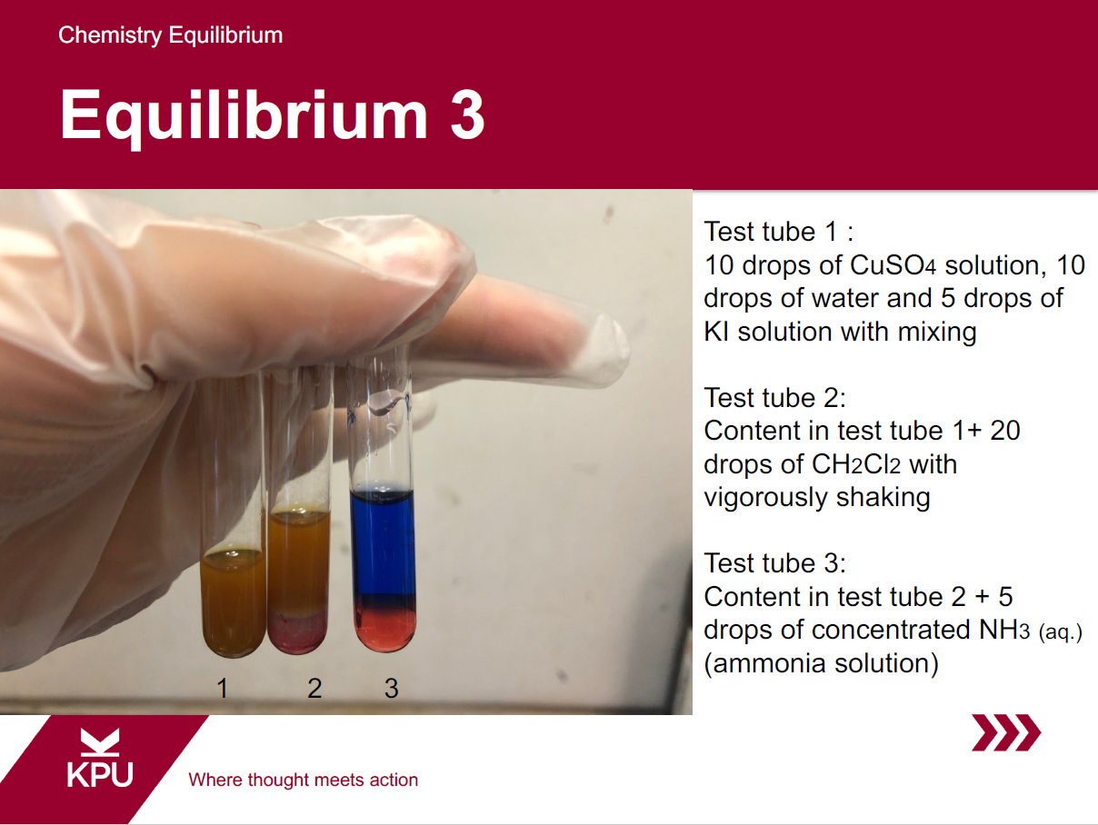 Solved Chemistry Equilibrium Equilibrium 3 Test tube 1 : 10 | Chegg.com