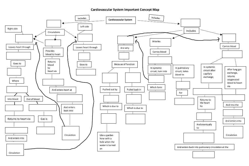 pulmonary and systemic circulations concept map Solved Cardiovascular System Important Concept Map Includ pulmonary and systemic circulations concept map