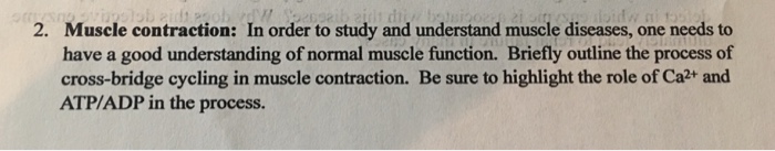 Solved 2. Muscle contraction: have a good understanding of | Chegg.com