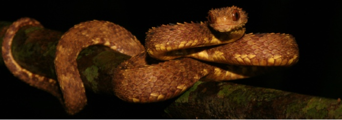 Atheris Flashcards | Chegg.com
