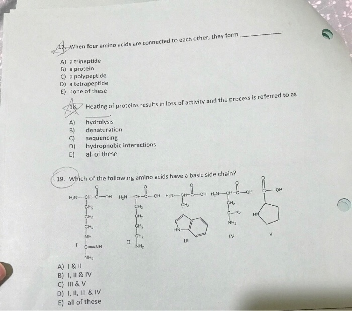 solved-when-four-amino-acids-are-connected-to-each-other-chegg