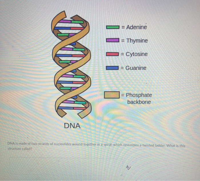 Solved Question 2 (3 points) Saved Genetic information is | Chegg.com